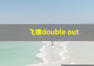 飞镖double out